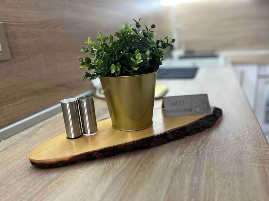 Cosy Appartement Green Life Bansko Exterior foto